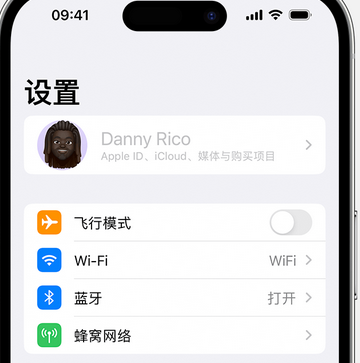 集宁appleID维修服务iPhone设置中Apple ID显示为灰色无法使用 