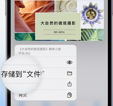 集宁apple维修中心分享iPhone文件应用中存储和找到下载文件