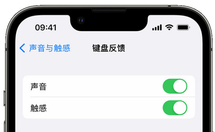 集宁苹果手机维修分享iPhone 14触感键盘使用方法 