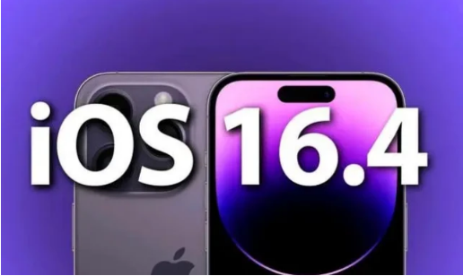 集宁苹果14维修分享：iPhone14可以升级iOS16.4beta2吗？ 