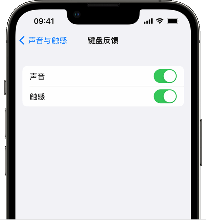 集宁苹果14维修店分享如何在 iPhone 14 机型中使用触感键盘 