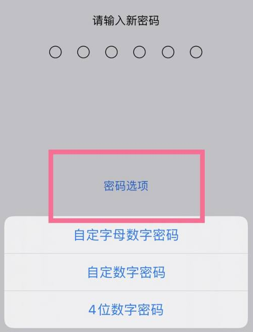 集宁苹果14维修分享iPhone 14plus设置密码的方法 